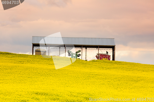 Image of Farming shed in canola field