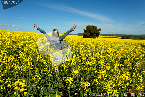 Image of Farm girl in bumper crop of canola