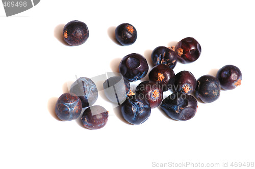 Image of Juniper berries 