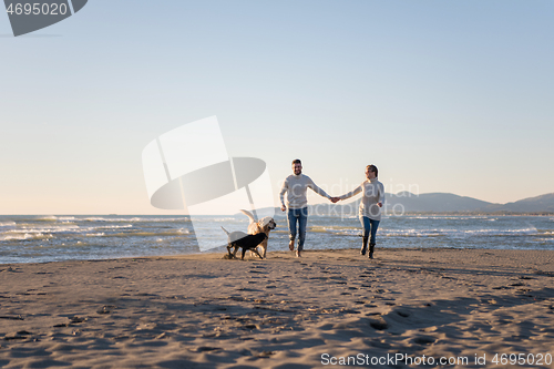 Image of couple with dog having fun on beach on autmun day