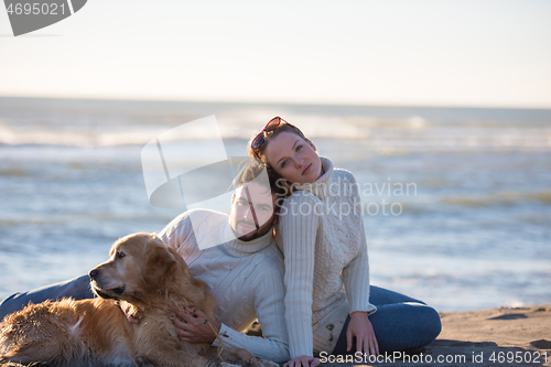 Image of Couple with dog enjoying time on beach