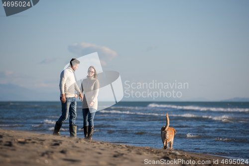 Image of couple with dog having fun on beach on autmun day