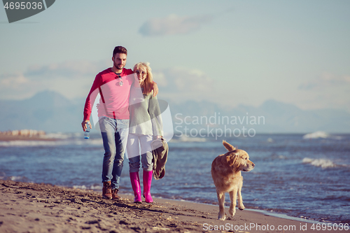 Image of couple with dog having fun on beach on autmun day