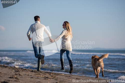 Image of couple with dog having fun on beach on autmun day