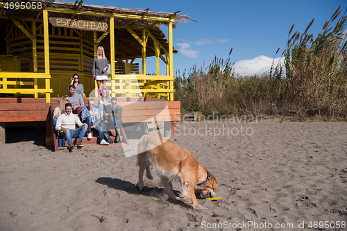 Image of Group of friends having fun on autumn day at beach