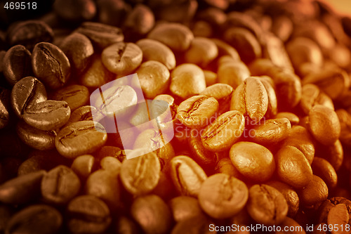 Image of Fragrant fried coffee beans 