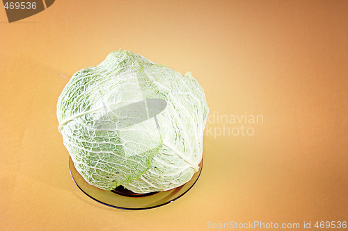 Image of Green cabbage vegetable