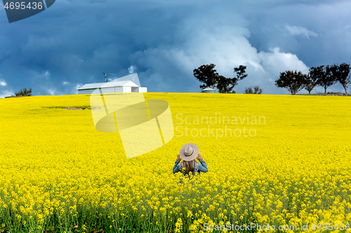 Image of Farm girl in field of canola with storm looming