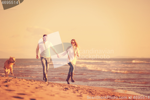 Image of couple with dog having fun on beach on autmun day