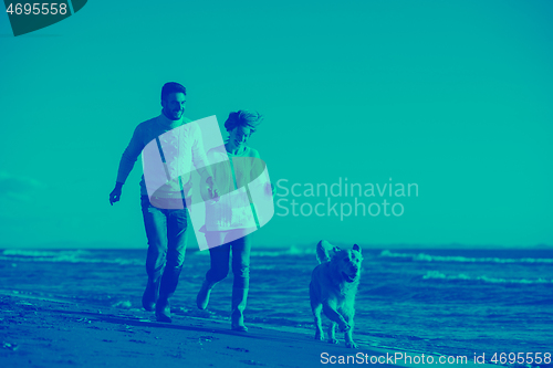 Image of couple with dog having fun on beach on autmun day