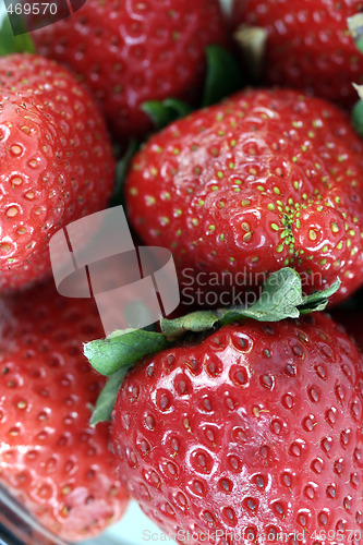 Image of Strawberry