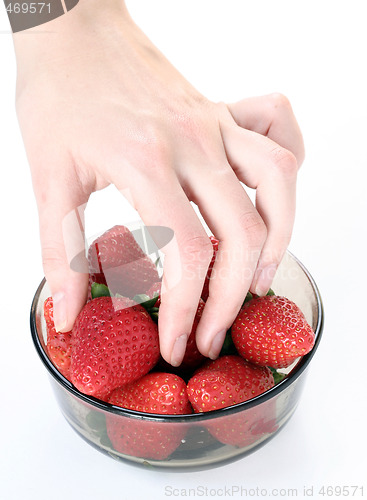 Image of Strawberry