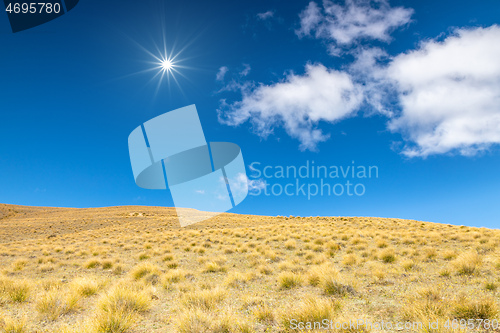 Image of dry grass hill meadow with space for your content