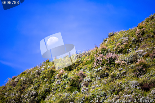 Image of Moon over heather hills