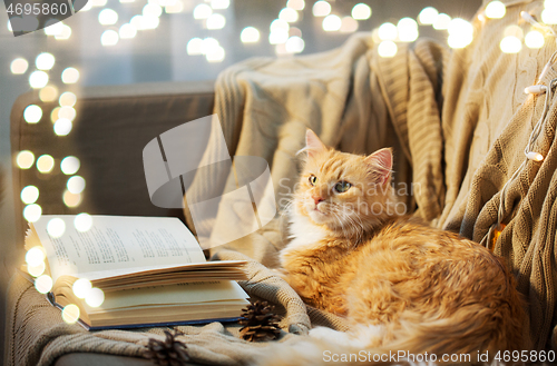 Image of red cat lying on sofa with book and cones at home