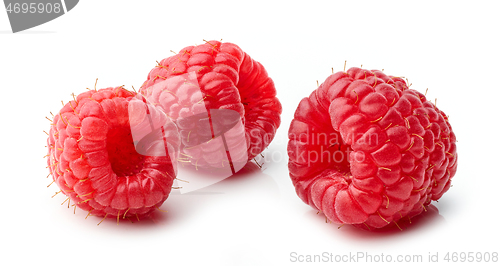 Image of fresh red raspberries macro