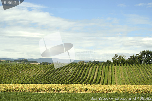 Image of Country landscape