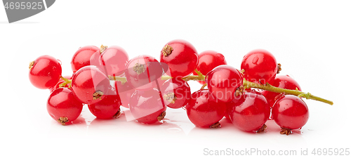 Image of wet red currant berries on white background