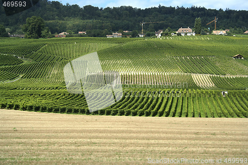 Image of Country landscape