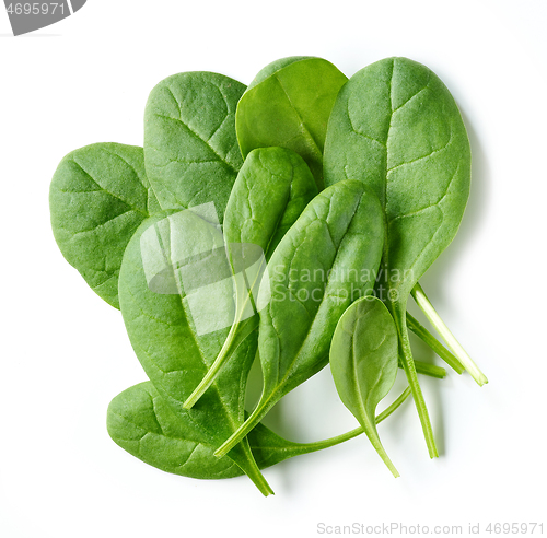 Image of fresh green spinach leaves