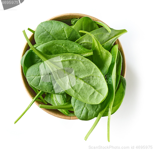 Image of fresh green spinach leaves