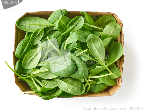 Image of fresh green spinach leaves