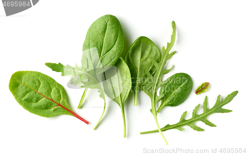 Image of various salad leaves