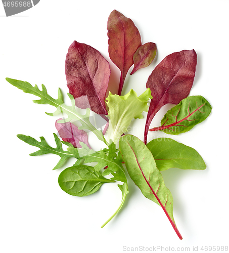 Image of various salad leaves