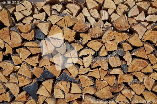 Image of Log Pile Closeup