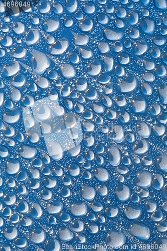 Image of Shiny Water Droplets