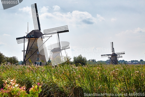 Image of Windmills in the Dutch lowlands