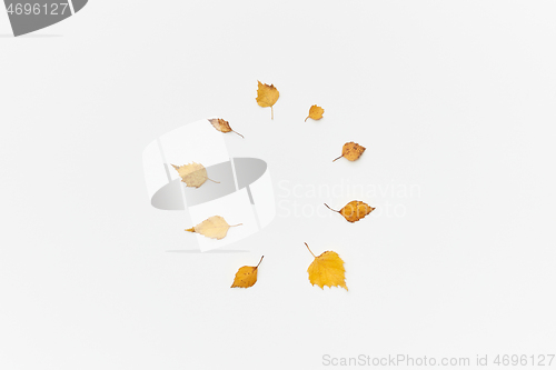 Image of Autumnal leaves