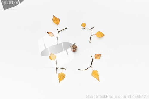 Image of Composition with acorn and leaves