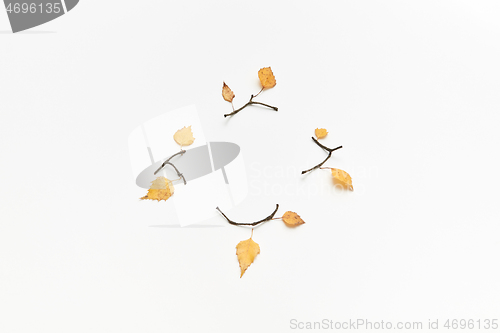 Image of Autumnal leaves and twigs