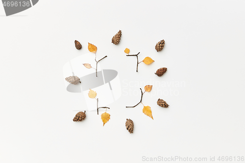 Image of Autumnal leaves and twigs