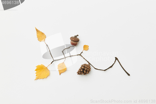 Image of Autumnal leaves and twigs