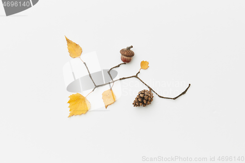 Image of Autumnal leaves and twigs