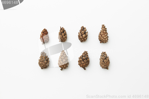 Image of Cones in rows