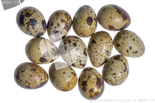 Image of some quail eggs