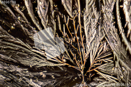 Image of colorful microcrystals