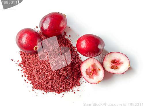 Image of dried cranberry powder and fresh cranberries