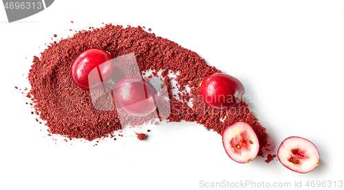 Image of dried cranberry powder and fresh cranberries