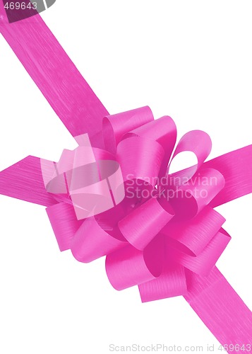 Image of Purple Ribbon