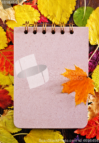 Image of autumn leaves