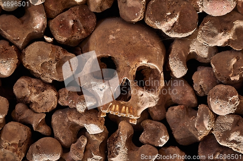 Image of Skulls and bones in a wall