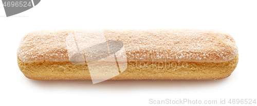 Image of Ladyfinger cookie isolated on white background