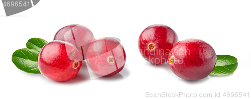 Image of fresh red cranberries