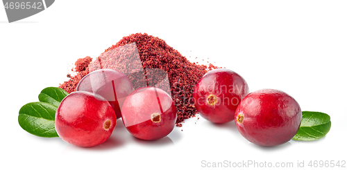 Image of dried cranberry powder and fresh cranberries