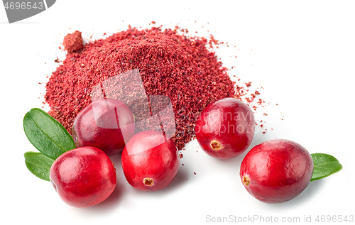 Image of dried cranberry powder and fresh cranberries