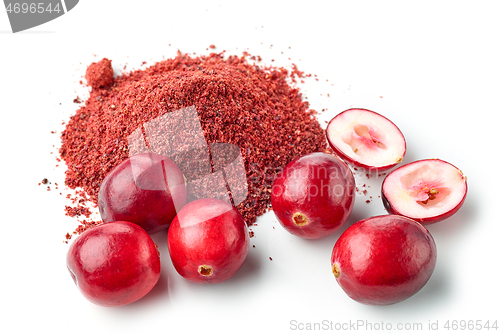 Image of dried cranberry powder and fresh cranberries